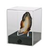SAFE Acrylic Presentation Cubes – 4 Sizes - Large Transparent Display Case - 120x120x140mm
