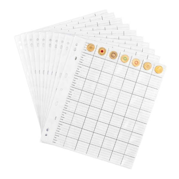 VST Copysafe Large Refill Coin Pages – Pack of 10